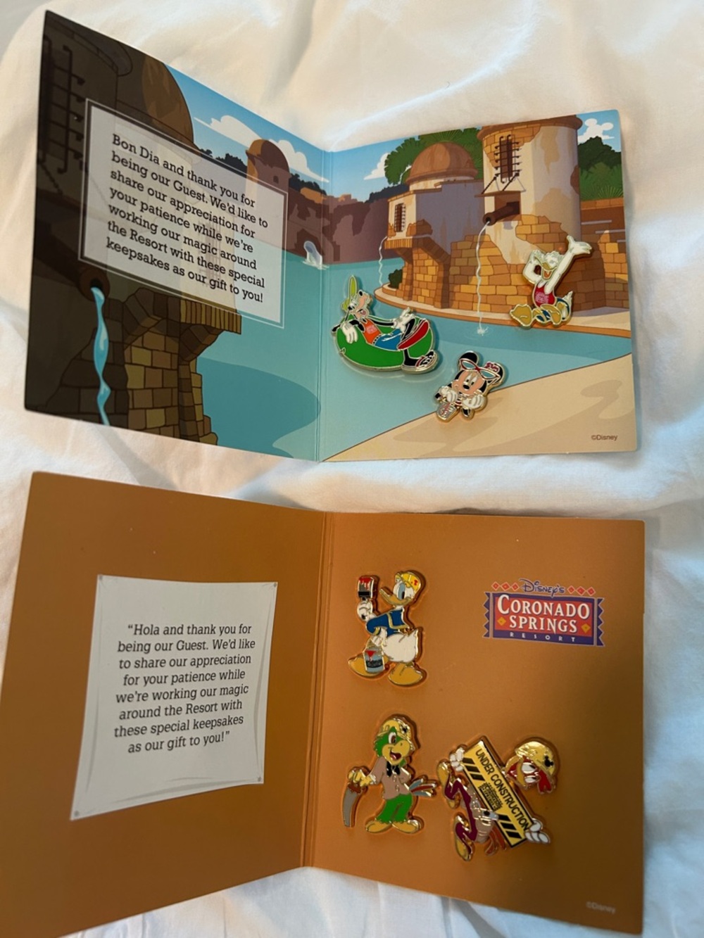 Disney Caribbean Beach and Coronado Springs pins